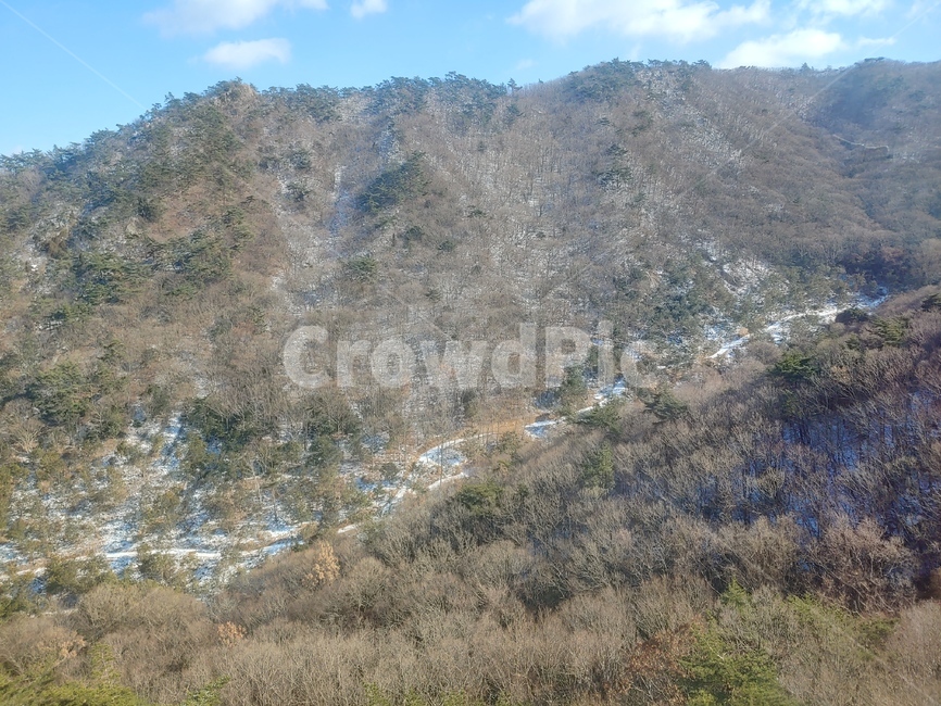 풍경,산,나무,하늘,구름