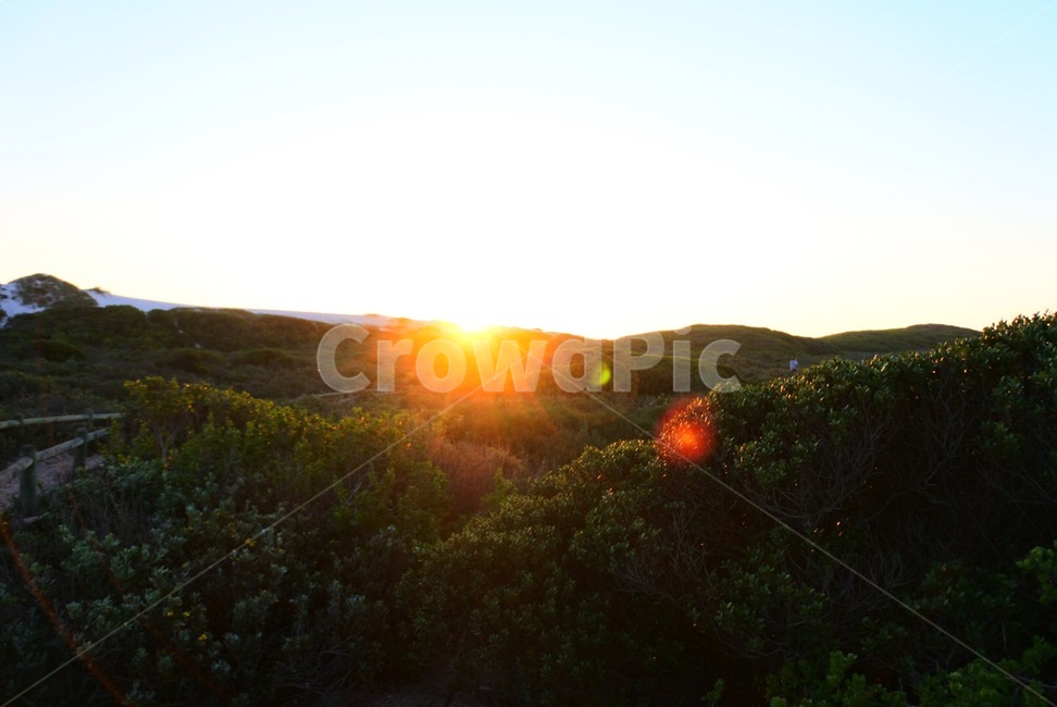 빛,nature,옥외,자연,풍경,숲,산,우림,삼림,산림,햇빛,빛갈림,녹색,외국자연풍경,자연풍경,outdoors,landscape