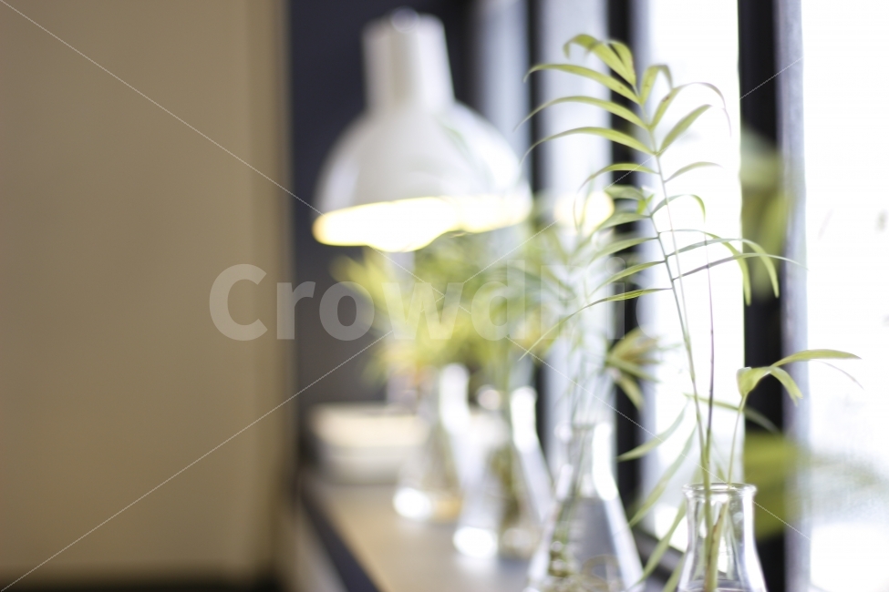 식물,화분,카페,테이블,인테리어,탁자,감성,봄,plant,cafe,interior,table,spring,blooming,warm,스탠드,조명,식물,자연,plants,nature,인테리어,실내디자인,interior design