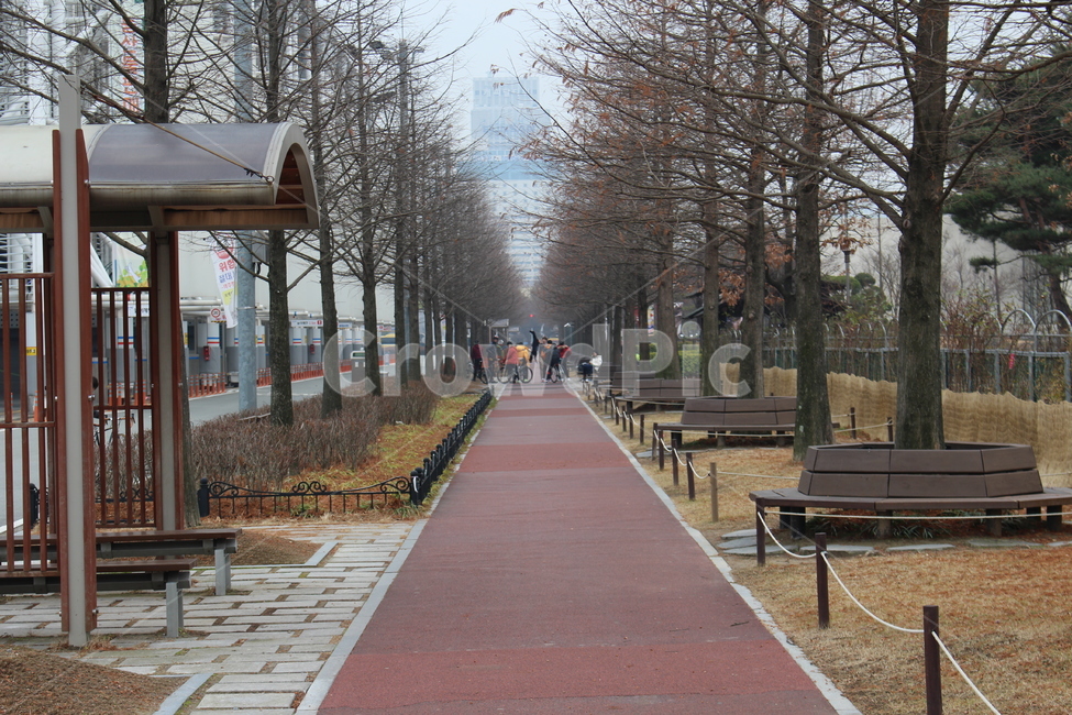 공원,길,겨울,가로수,거리,자연,풍경,nature,landscape,사람들,대중,군중,other people,crowd,path,통로
