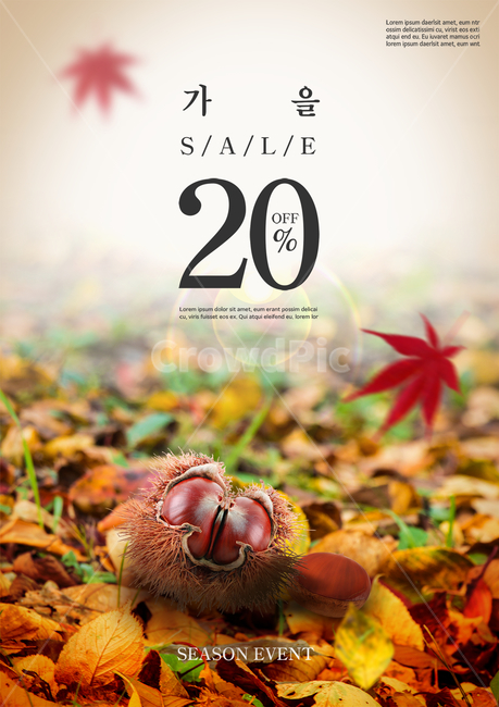 밤,밤송이,낙엽,단풍잎,가을,표지,전단지,브로슈어,카달로그,가을,계절,fall,autumn,season,축제,행사,festival,carnival,event,쇼핑,shopping,그래픽,일러스트레이션,graphic,illustration,leaf,잎,plant,식물
