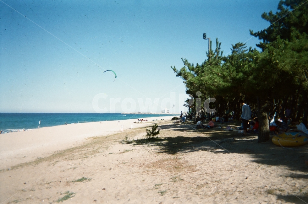 해변,필름사진,강릉,바닷가,해수욕장,푸른,편안한,여름,계절,summer,season,자연,풍경,nature,landscape,해변,바다,beach,sea,여행,휴가,traveling,vacation,trip,감성,sensible,feeling,outdoors,옥외,ocean,대양,water,물,shoreline,해안선