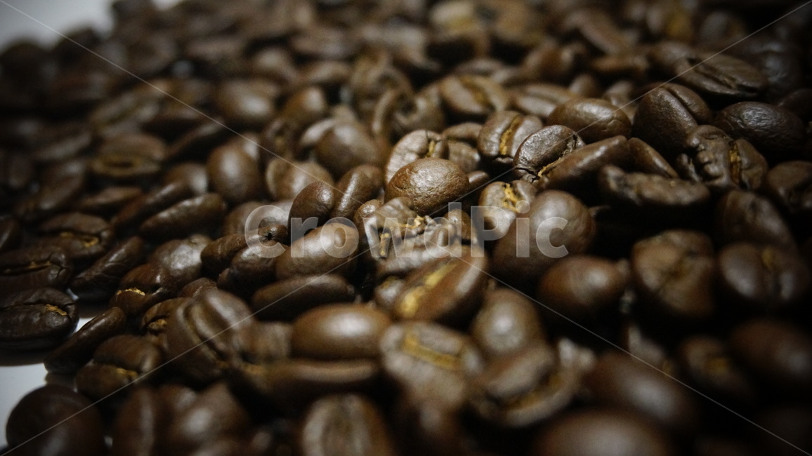 원두,원두커피,로스팅,커피,cafe,드립커피,스코트레버러토리,워시드방식,커피,카페,coffee,cafe