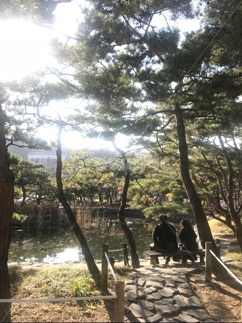 뒷모습,이야기,연못,소나무,한옥마을,따뜻한,남산골,도란도란