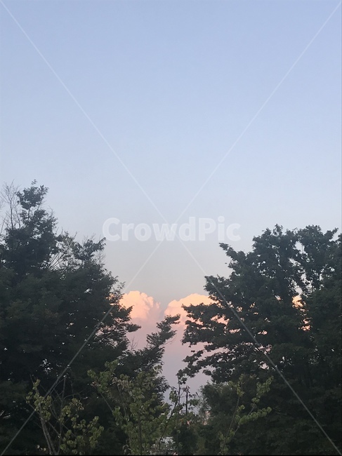 나무,푸른,하늘,노을,배경화면,분위기,글귀