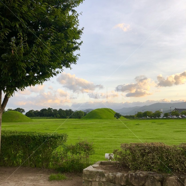 grassland,목초지,outdoors,들,하늘,풍경,대릉원,구름,자연,풍경,nature,landscape,옥외,field