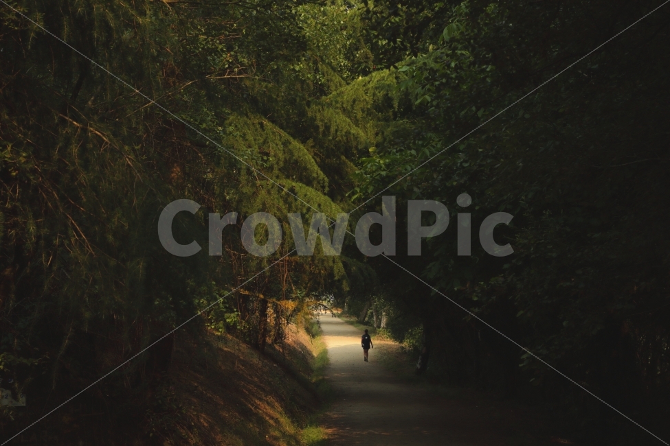 여행,편안함,숲,자연,고요함,순례자의길,Camino,여정,자연,풍경,nature,landscape,사람,인물,인간,human,person,감성,sensible,feeling