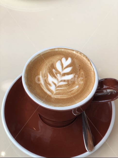 coffeecup,latte,beverage,라떼,drink,cup,컵,커피,카페,coffee,cafe