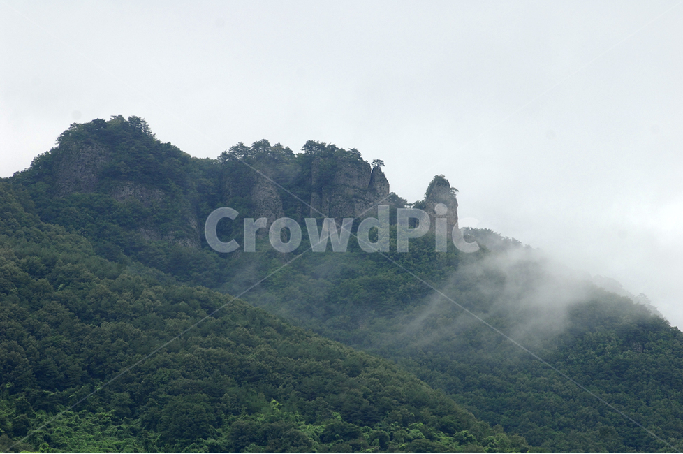 산,구름,소나무,청량산,계곡,자연,풍경,nature,landscape,outdoors,옥외