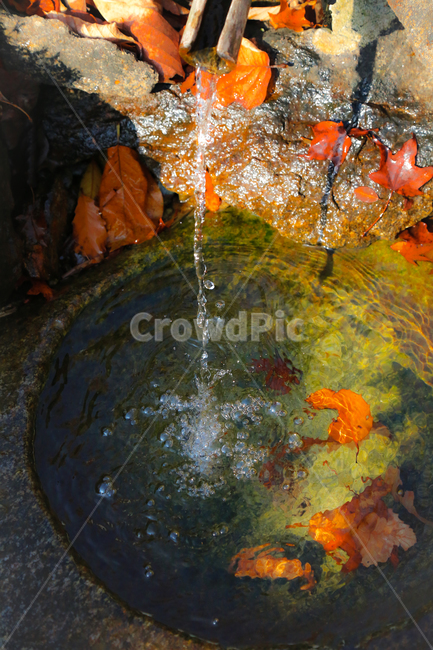 water,물,옥외,outdoors,ripple,리플,가을,계절,fall,autumn,season