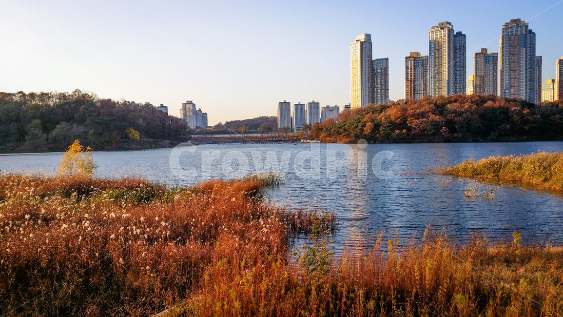 호수,lake,가을,단풍,자연,가을,계절,fall,autumn,season,water,물,nature,outdoors,옥외