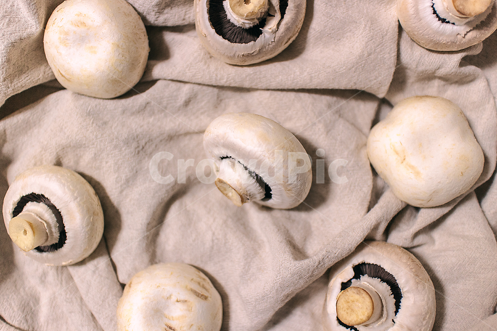 버섯,mushroom,식재료,주방,food,음식,야채,채소,vegetable,vegetarian,채식주의,채식,건강,healthy,패턴,pattern,버섯,mushroom