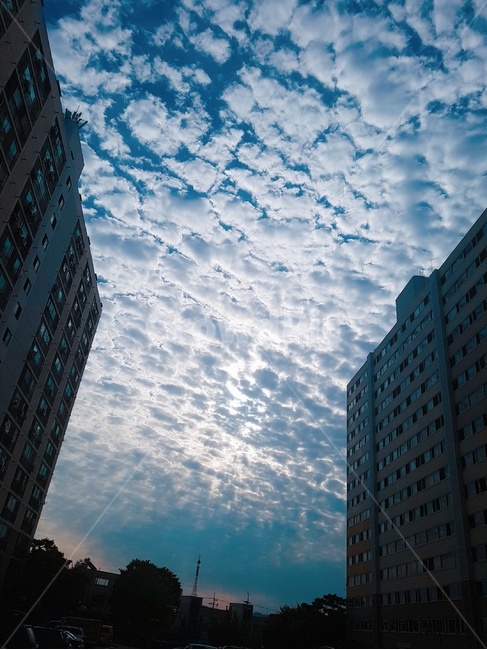 구름,하늘,파랑,자연,풍경,화창,맑음,도시,풍경,city,landscape,office building,사무실 건물,building,건물,시티,town,urban,어반