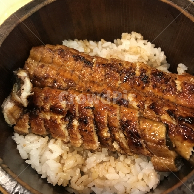 장어,장어덮밥,일본음식,장어구이,보양식,일식,음식,식재료,요리,food,cook,meal,dishes,food reserves,수산물,해산물,fishery products,seafood,일식,일본음식,일본요리,Japanese food,Japanese dishes,Japanese meal,Japanese cook