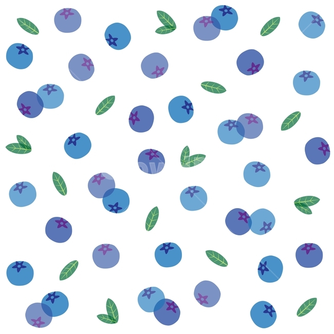 패턴,블루베리,pattern,fruit,과일,새콤,달콤,녹색,다이어트,건강식품,맛,음식,푸드,food,먹거리,열매,blueberry,나무열매,안토시아닌,식이섬유,항산화식품,보라색,purple,잎새,배경,바탕,백그라운드,background,그래픽,일러스트레이션,graphic,illustration,텍스처,질감,패턴,texture,pattern
