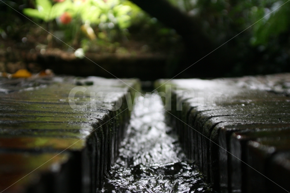 수로,물,접사,생동감,깨끗함,자연,풍경,nature,landscape,휴식,힐링,rest,relaxation,healing