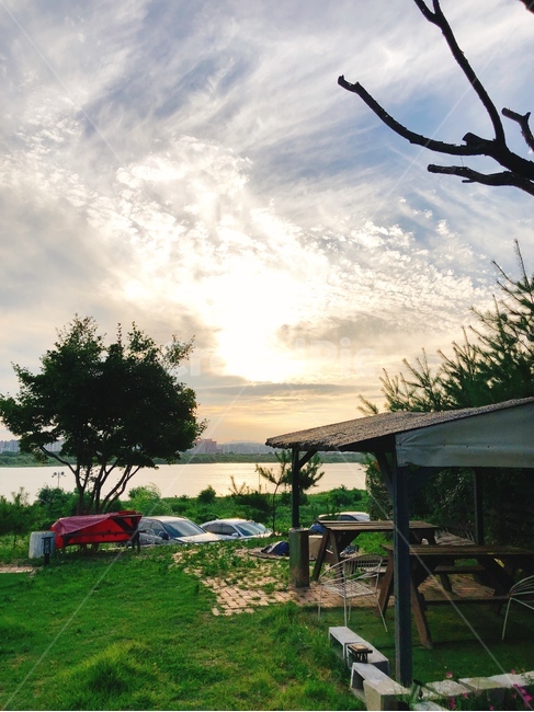 풍경,날씨,자연,나무,햇빛,자연,풍경,nature,landscape,patio,안마당
