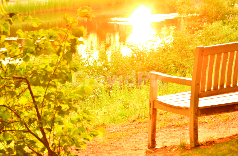 벤치,의자,나무의자,쉼터,휴식,빈자리,relaxation,rest,쉼,쉬어가는곳,힐링,여유,명상,산책,bench,leisure,sit,chair,풍경,앉다,자리,편안한,공원,healing,석양,노을빛,해질무렵,황금빛,따스한,sunset,lakeside,호숫가,휴식,힐링,rest,relaxation,healing
