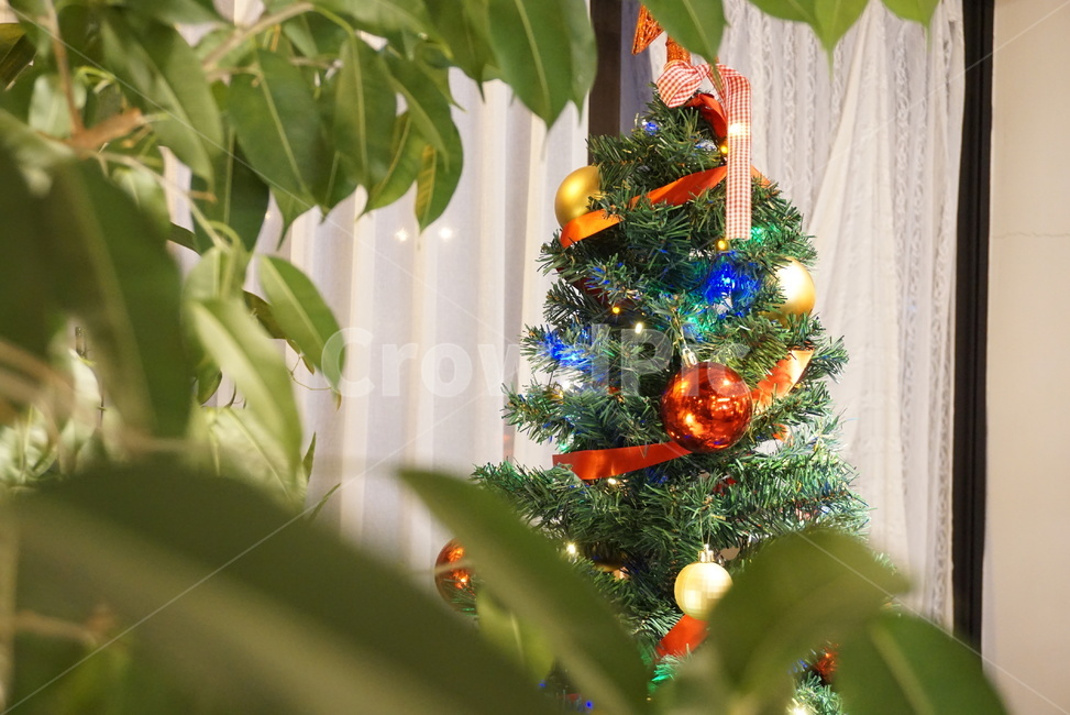 겨울,크리스마스,크리스마스트리,christmastree,ornament,겨울,계절,winter,season,메리크리스마스,성탄절,merry christmas