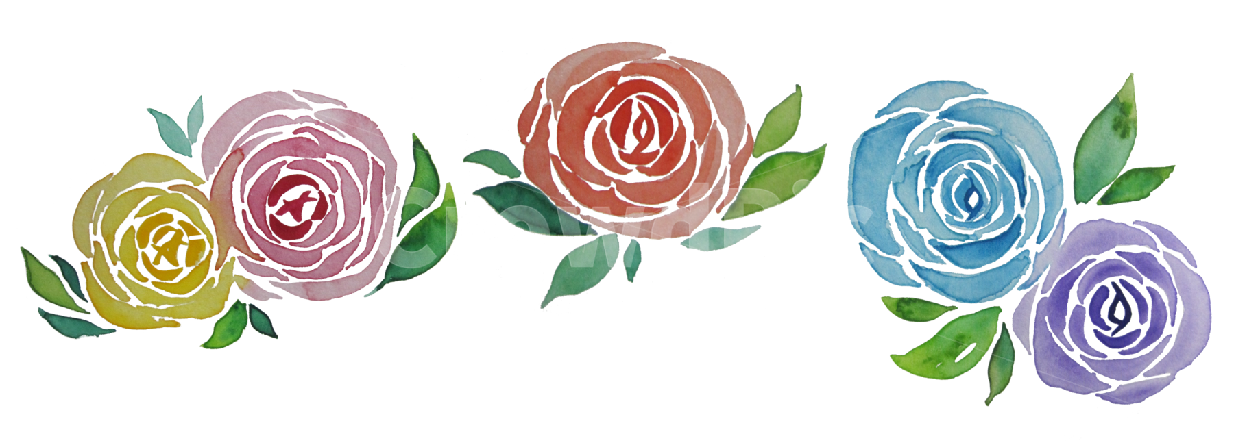 장미,rose,꽃,flower,blossom,plant,식물,수채화,물감,꽃,flower