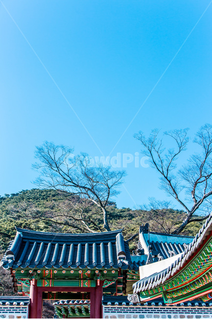 문화유산,단청,전통,한국의미,고궁,한국전통,한국문화,korean traditional,korean culture,건축물,건물외관,exterior,building,structure,architecture,construction