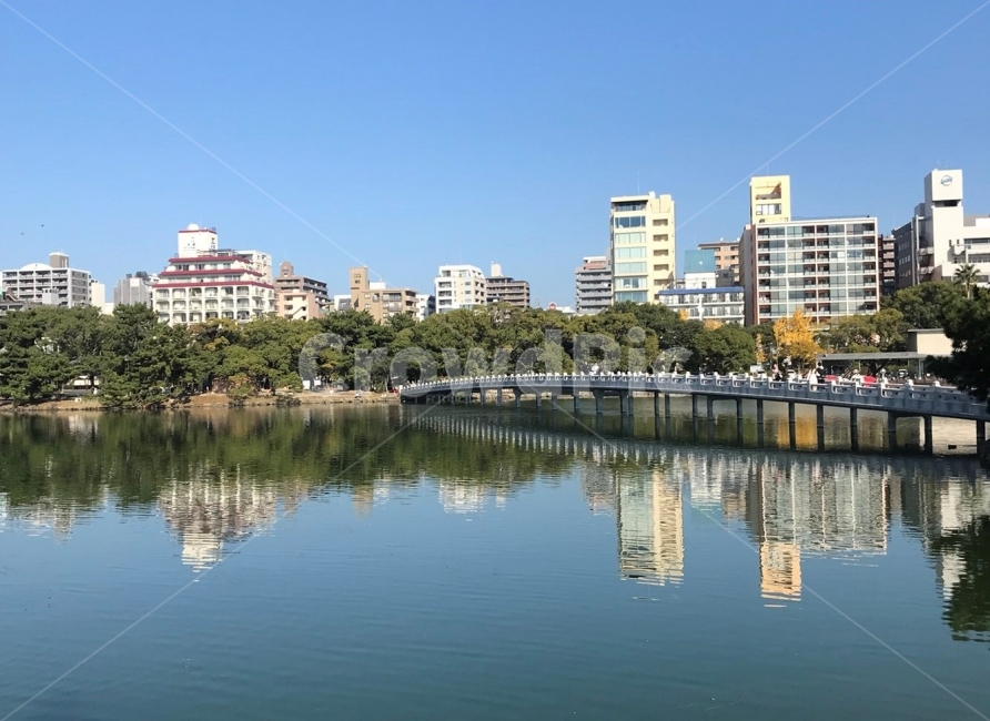 호수,다리,하늘,물,공원,건물,비침,lake,맑음,bridge,sky,park,sunny,도시,풍경,city,landscape,water,outdoors,옥외,nature,자연