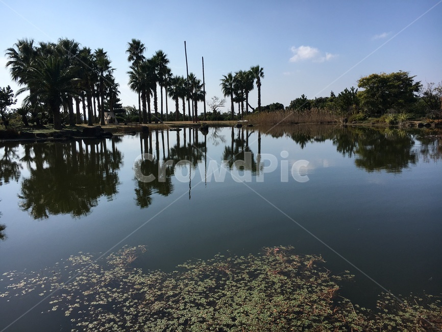 풍경,감성,자연,분위기,하늘,자연,풍경,nature,landscape