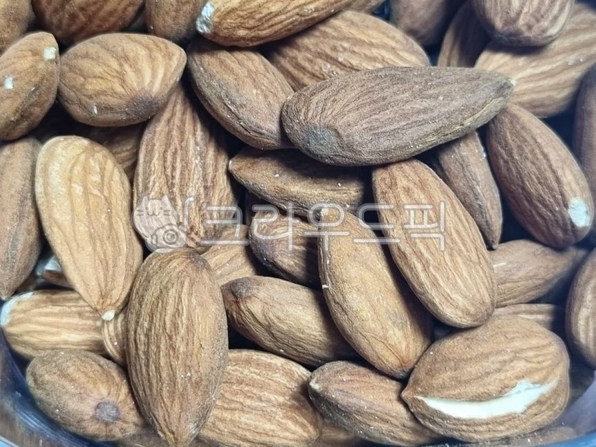 음식,food,아몬드,almond,씨앗,seed,견과류,nutproducts