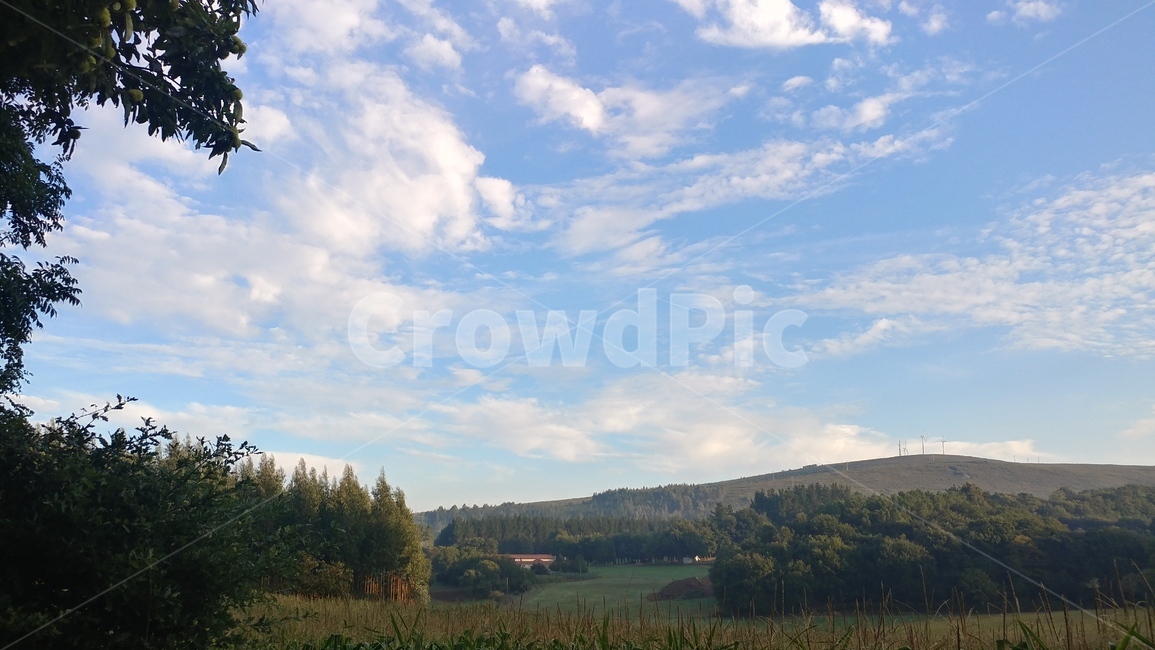 하늘,풍경,자연,구름,나무,자연,풍경,nature,landscape,tree,plant,식물,outdoors,옥외,fir,전나무