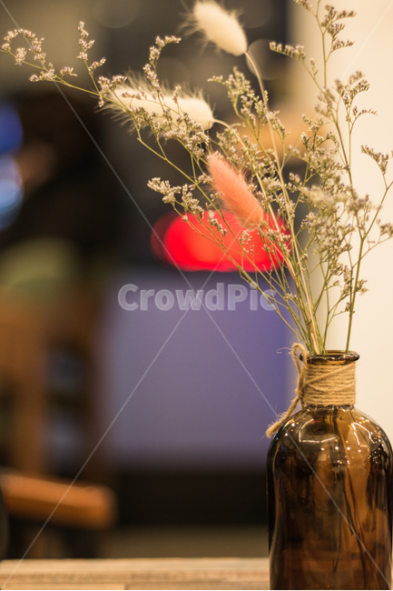카페,풍경,데코레이션,밤,실내,식물,자연,plants,nature,실내용화초,화분,화초,house plant,인테리어,실내디자인,interior design