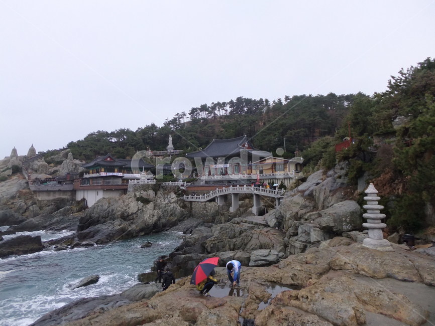 바다,부산절,부산용궁사,바닷가,수평선,절,파도