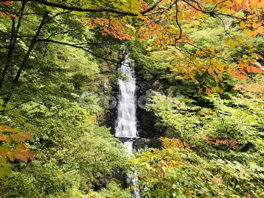 nature,자연,water,물,outdoors,폭포,waterfall,강,river,옥외,가을,가을,계절,fall,autumn,season,자연,풍경,nature,landscape
