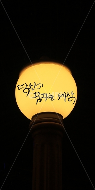 캘리그라피,가로등,빛,세상,조명,등,노랑색,밤,램프,lamp