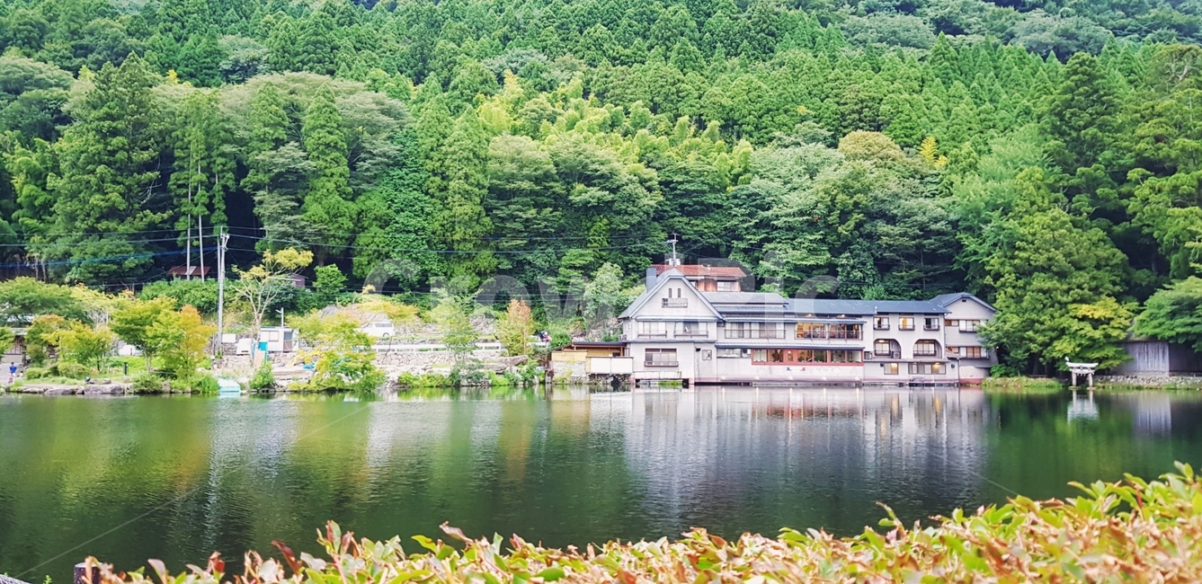 긴린코,후쿠오카,일본,유후인,긴린코호수,japan,호수,자연,풍경,숲,초록색,울창한,화창한,자연,풍경,nature,landscape,water,물,outdoors,옥외