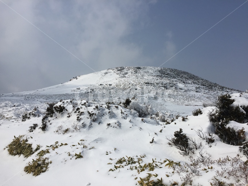눈,겨울,설산,설경,한라산,눈내린산,눈오는산,산,풍경,산풍경,눈풍경,겨울,계절,winter,season