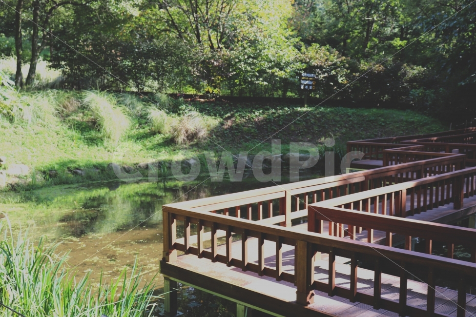 가을,여유로움,한적함,연못,풍경사진,자연사진,자연,풍경,nature,landscape,water,물