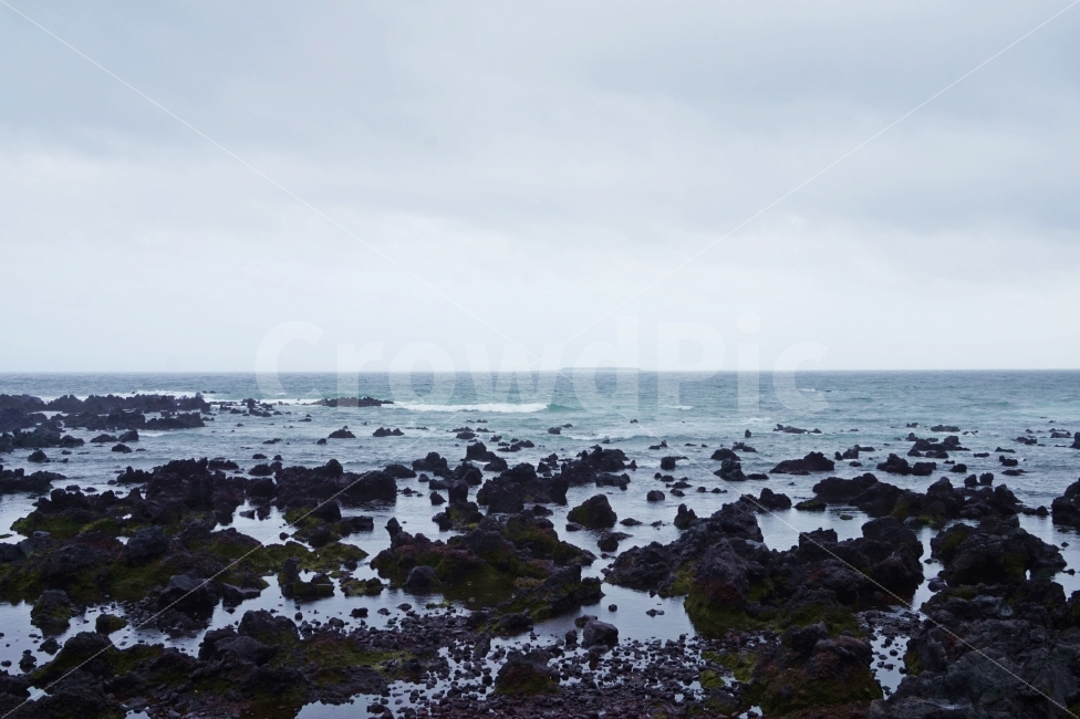 제주,제주도,바다,여행,힐링,자연,현무암,돌,감성,배경,자연,풍경,nature,landscape,제주도,jeju,jeju island,promontory,곶,plant,식물