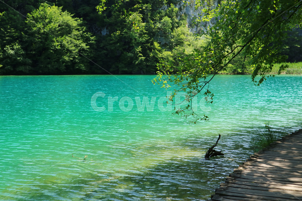 outdoors,옥외,nature,자연,landscape,경치,scenery,풍경,크로아티아,물,water,나무,tree,공원,garden,유럽,여행,유럽여행,관광,자연,풍경,nature,landscape,waterfront,워터 프론트
