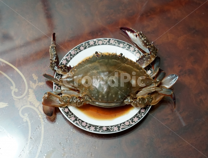 간장게장,게장,게,게껍데기,밥도둑,음식,식재료,요리,food,cook,meal,dishes,food reserves,수산물,해산물,fishery products,seafood,한식,한국음식,한국요리,korean food,korean dishes,korean meal,korean cook