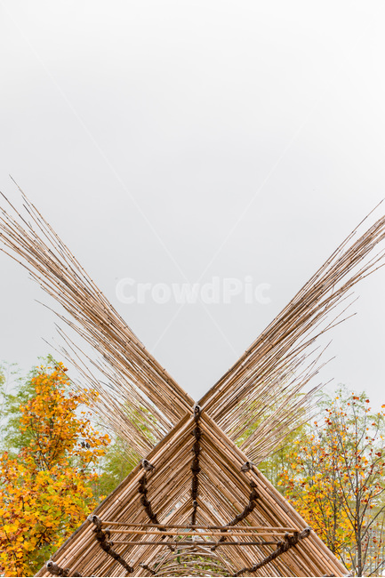 대나무,가을,선,패턴,감성,가을,계절,fall,autumn,season,grass,잔디,plant,식물