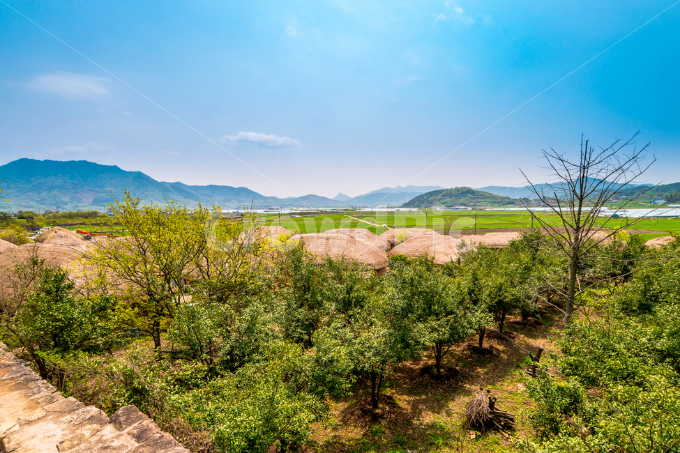 낙안민속마을,한국,봄,마을,초가집,전통,초록색,봄,계절,spring,season,시골,마을,풍경,landscape,country,rural,town,nature,자연,outdoors,옥외