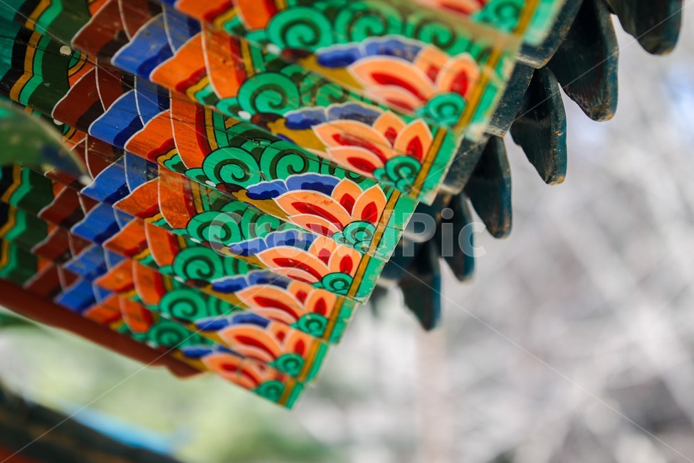 단청,아산현충사,전통,문양,건축물,한국전통,한국문화,korean traditional,korean culture,건축물,건물외관,exterior,building,structure,architecture,construction