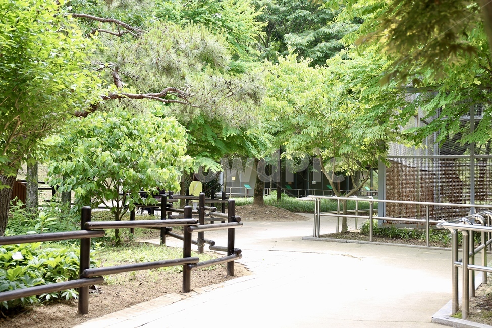 수목원,식물원,산책,숲,숲길,산책길