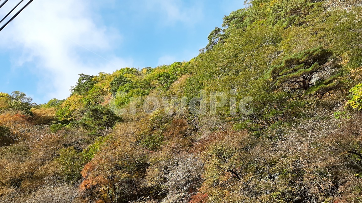 가을풍경,단풍,산행,나무,하늘,숲,풍경,자연,tree