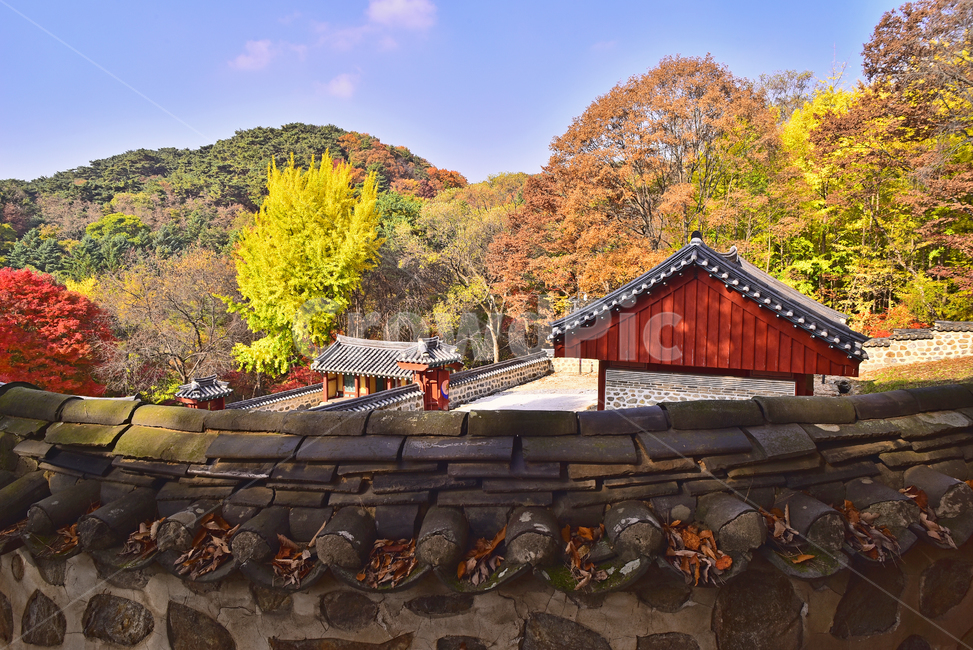 가을,남한산성,세계문화유산,한국자연경관,한국자연풍경,고건축물,전통양식,traditional,사당,유네스코,unesco,가을배경,가을감성,단풍나무,단풍숲,환경,힐링,environment,잎새,이파리,colorful,season,background,natural,계절,시즌,백그라운드,칼라풀,컬러풀,forest,healing,tree,나무,plant,식물,maple,단풍,leaf,잎,건축물,건축양식,한국전통양식,빌딩,기와지붕,태극문양,돌담,석축,fall,autumn,outdoor,야외,아웃도어,nature,자연,outdoors,옥외,building,건물,가을,계절,fall,autumn,season,한국전통,한국문화,korean traditional,korean culture,랜드마크,landmark,tourist attraction,한국랜드마크,한국관광지,한국명소,korea landmark,korea tourist attraction,건축물,건물외관,exterior,building,structure,architecture,construction