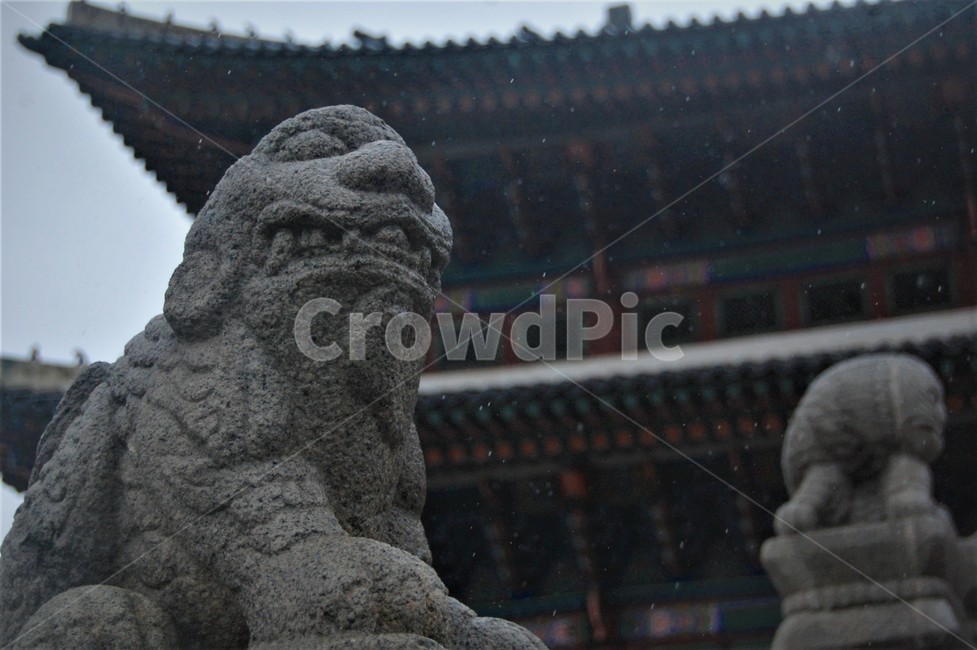경복궁,궁궐,석상,경복궁석상,비오는날,빗방물,해태