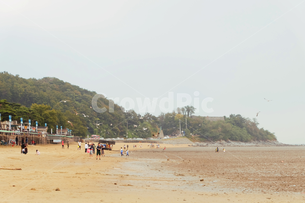 해변,바다,해수욕장,모래사장,풍경,동막해변,동막해수욕장,강화도,해변,바다,beach,sea,사람들,대중,군중,other people,crowd