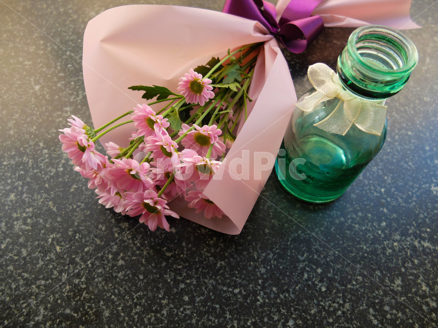plant,식물,꽃,꽃병,flower,vase