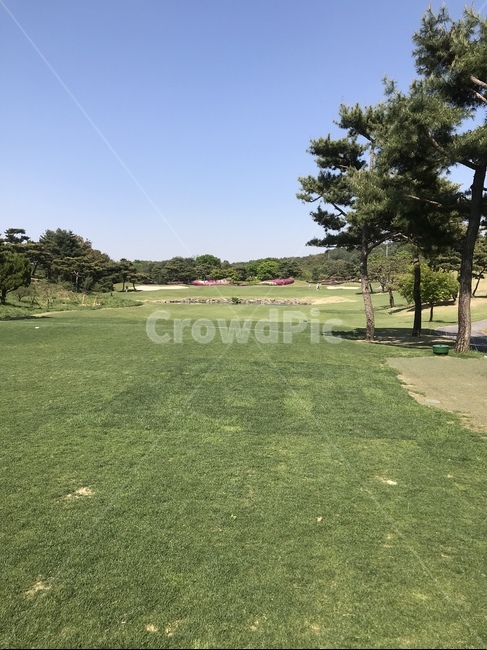 골프,잔디,운동,야외,파란하늘