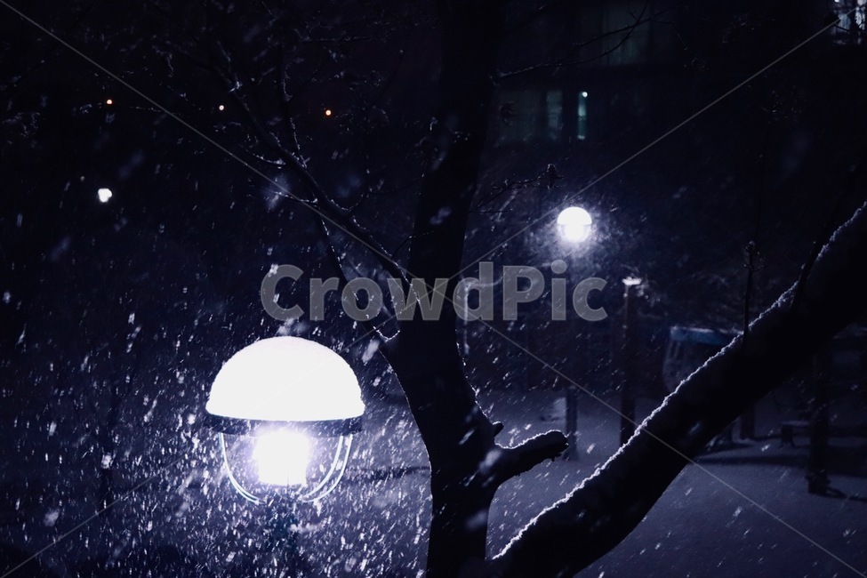 겨울,눈,계절,가로등,0,겨울,계절,winter,season,야경,밤,풍경,nightscape,night,landscape